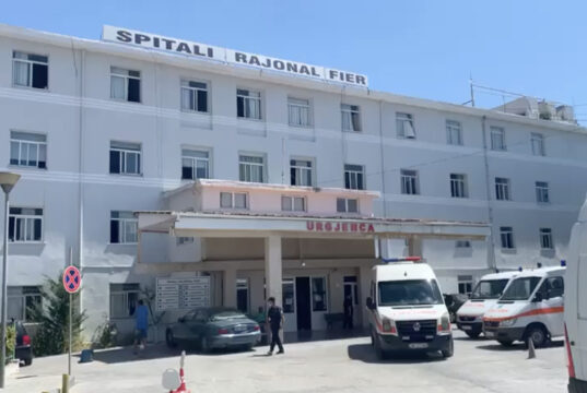Shkon në 3 numri i vikt*mave në Roskovec, ndërron jetë në spital 51-vjeçarja e pl*gosur
