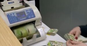 Sa kushton të jetosh vetëm në Shqipëri?