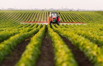 52,589 fermerë përfitojnë nga Skema Kombëtare e Mbështetjes në Bujqësi 2025; shpërndahen 2.1 miliardë lekë