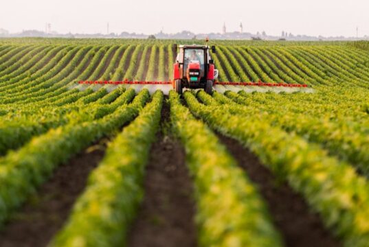 48 mijë fermerë, pagesa cash për naftën – Publikohet lista e plotë. Mbi 14 mijë përfitues për masat e tjera