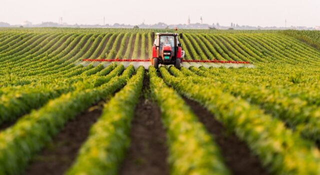 52,589 fermerë përfitojnë nga Skema Kombëtare e Mbështetjes në Bujqësi 2025; shpërndahen 2.1 miliardë lekë