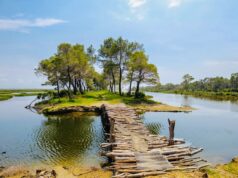 Pedonale e re brenda Parkut ne KARAVASTA,shpallet fituesi për hartimin e projektit