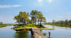 Pedonale e re brenda Parkut ne KARAVASTA,shpallet fituesi për hartimin e projektit