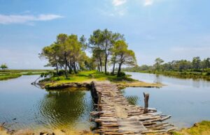 Pedonale e re brenda Parkut ne KARAVASTA,shpallet fituesi për hartimin e projektit