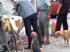 Jetesa në Shqipëri po bëhet gjithnjë e më e shtrenjtë, Tirana mbetet qyteti më i shtrenjtë në vend