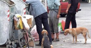 Jetesa në Shqipëri po bëhet gjithnjë e më e shtrenjtë, Tirana mbetet qyteti më i shtrenjtë në vend