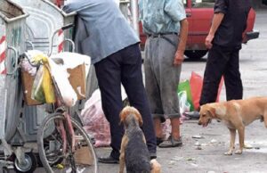 Jetesa në Shqipëri po bëhet gjithnjë e më e shtrenjtë, Tirana mbetet qyteti më i shtrenjtë në vend