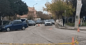 Policia jep detaje nga ngjarja ne Lushnje