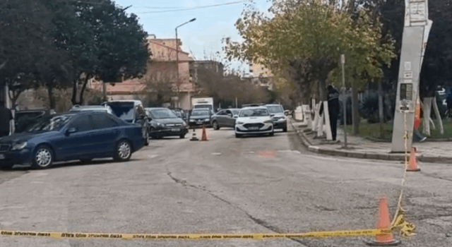 Policia jep detaje nga ngjarja ne Lushnje
