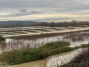 Qindra hektarë tokë bujqësore nën ujë pas daljes së lumit Ishëm