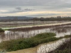 Qindra hektarë tokë bujqësore nën ujë pas daljes së lumit Ishëm