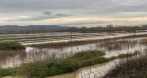 Qindra hektarë tokë bujqësore nën ujë pas daljes së lumit Ishëm