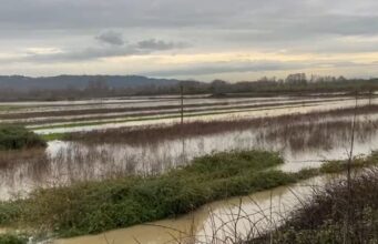 Qindra hektarë tokë bujqësore nën ujë pas daljes së lumit Ishëm