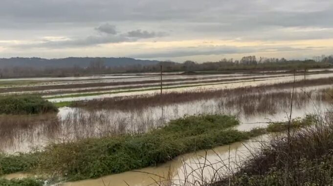 Qindra hektarë tokë bujqësore nën ujë pas daljes së lumit Ishëm