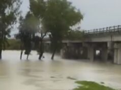 Rriten prurjet e Vjosës, përmbytet pazari pranë urës së Mifolit