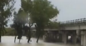 Rriten prurjet e Vjosës, përmbytet pazari pranë urës së Mifolit