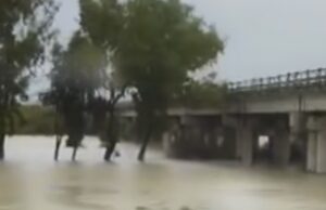 Rriten prurjet e Vjosës, përmbytet pazari pranë urës së Mifolit