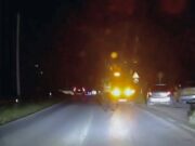 Aksident në Qafën e Koshovicës në Fier, përplasen 2 automjete