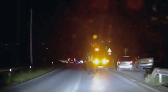 Aksident në Qafën e Koshovicës në Fier, përplasen 2 automjete