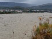 Lumi Seman nga shtrati, përmbyten tokat bujqësore në Lushnje dhe Divjakë