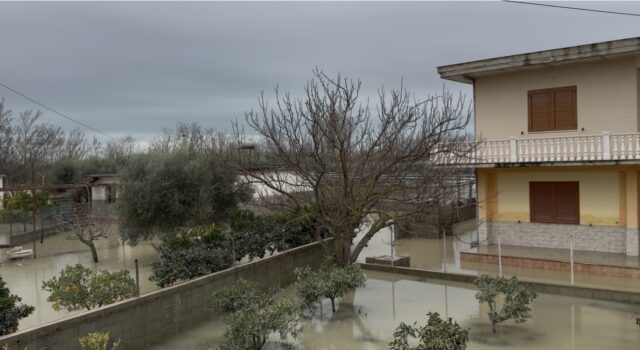 Shqipëria në ditën e katërt të përmbytjeve: 13 211 ha tokë dhe 1 587 banesa nën ujë, Rama premton kompensim të dëmeve