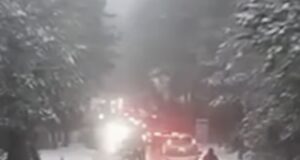 Nisin reshjet e dëborës në Qafën e Llogarasë