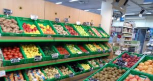 Shqipëria shet jashtë zarzavate, por blen fruta të shtrenjta nga importi