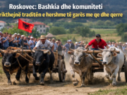 Roskovec: Bashkia dhe komuniteti rikthejnë traditën e hershme të garës me qe dhe qerre