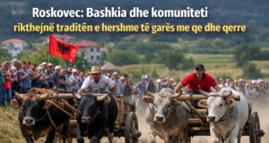 Roskovec: Bashkia dhe komuniteti rikthejnë traditën e hershme të garës me qe dhe qerre
