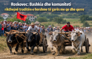 Roskovec: Bashkia dhe komuniteti rikthejnë traditën e hershme të garës me qe dhe qerre