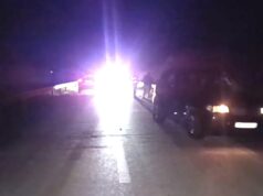 Aks*dent në Lushnje, drejtuesi i “BMW” përplaset me një kalë!