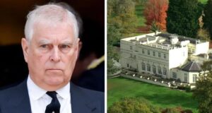 Doli në dosjet e Epstein, arrestohet princi Andrew