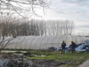 Vr*tet me a*më ,25-vjeçari shqiptar në Itali