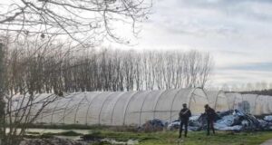 Vr*tet me a*më ,25-vjeçari shqiptar në Itali