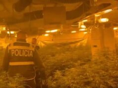 Shtëpi bari në banesën e drejtorit të burgut të Rrogozhinës, policia publikon pamjet