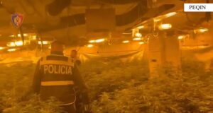 Shtëpi bari në banesën e drejtorit të burgut të Rrogozhinës, policia publikon pamjet