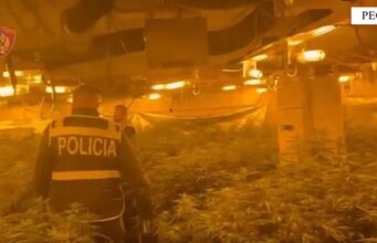 Shtëpi bari në banesën e drejtorit të burgut të Rrogozhinës, policia publikon pamjet