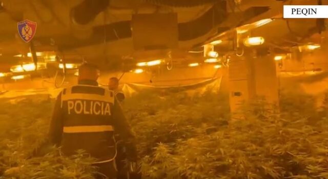 Shtëpi bari në banesën e drejtorit të burgut të Rrogozhinës, policia publikon pamjet