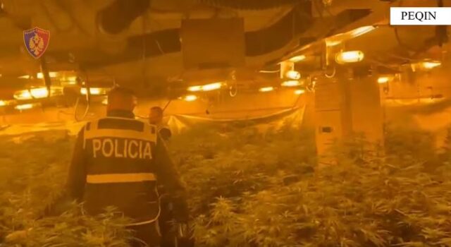 Shtëpi bari në banesën e drejtorit të burgut të Rrogozhinës, policia publikon pamjet