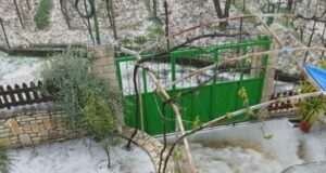 Breshëri dhe reshje intensive dëmtojnë bujqësinë në Luginën e Vjosës