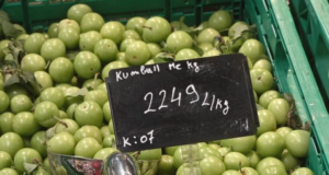 23 mijë lekë kg i kumbullave, Autoriteti i Konkurrencës të zbresë në treg