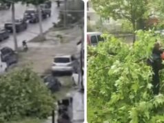 Era e fortë rrëzon pemë në Lungomare, ndërhyjnë zjarrfikësit