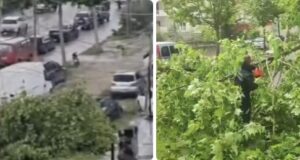 Era e fortë rrëzon pemë në Lungomare, ndërhyjnë zjarrfikësit