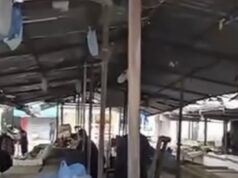 Nis zbatimi i projektit për tregun e fruta-perimeve në Vlorë, tregtarët kundërshtojnë zhvendosjen