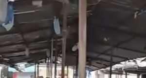 Nis zbatimi i projektit për tregun e fruta-perimeve në Vlorë, tregtarët kundërshtojnë zhvendosjen