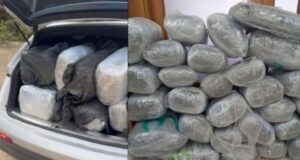 Kapen 167 kg dr*ge në Greqi, arrestohet një shqiptar pas ndjekjes filmike