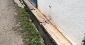 300 familje në Ferras , FIER mes ujërave të zeza