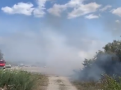 Zjarr në Ranën e Hedhur, flakët afrohen pranë bizneseve në zonën turistike