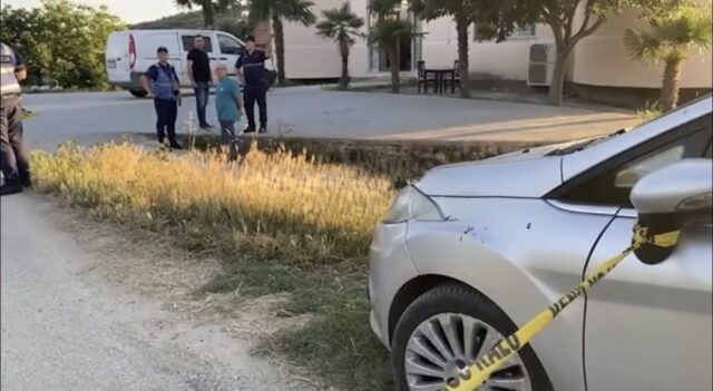 Policia jep detaje nga ngjarja ne Lushnje,arrestohet 17 vjecari