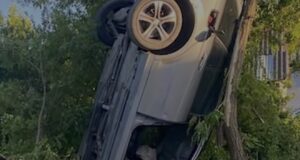 Përplasen dy mjete , njëra përfundon e varur në pemë